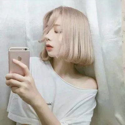 我的会长大人